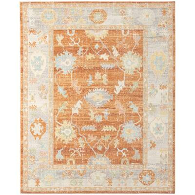 Buy Transitional Area Rugs Online at Overstock | Our Best Rugs Deals | Bed Bath & Beyond