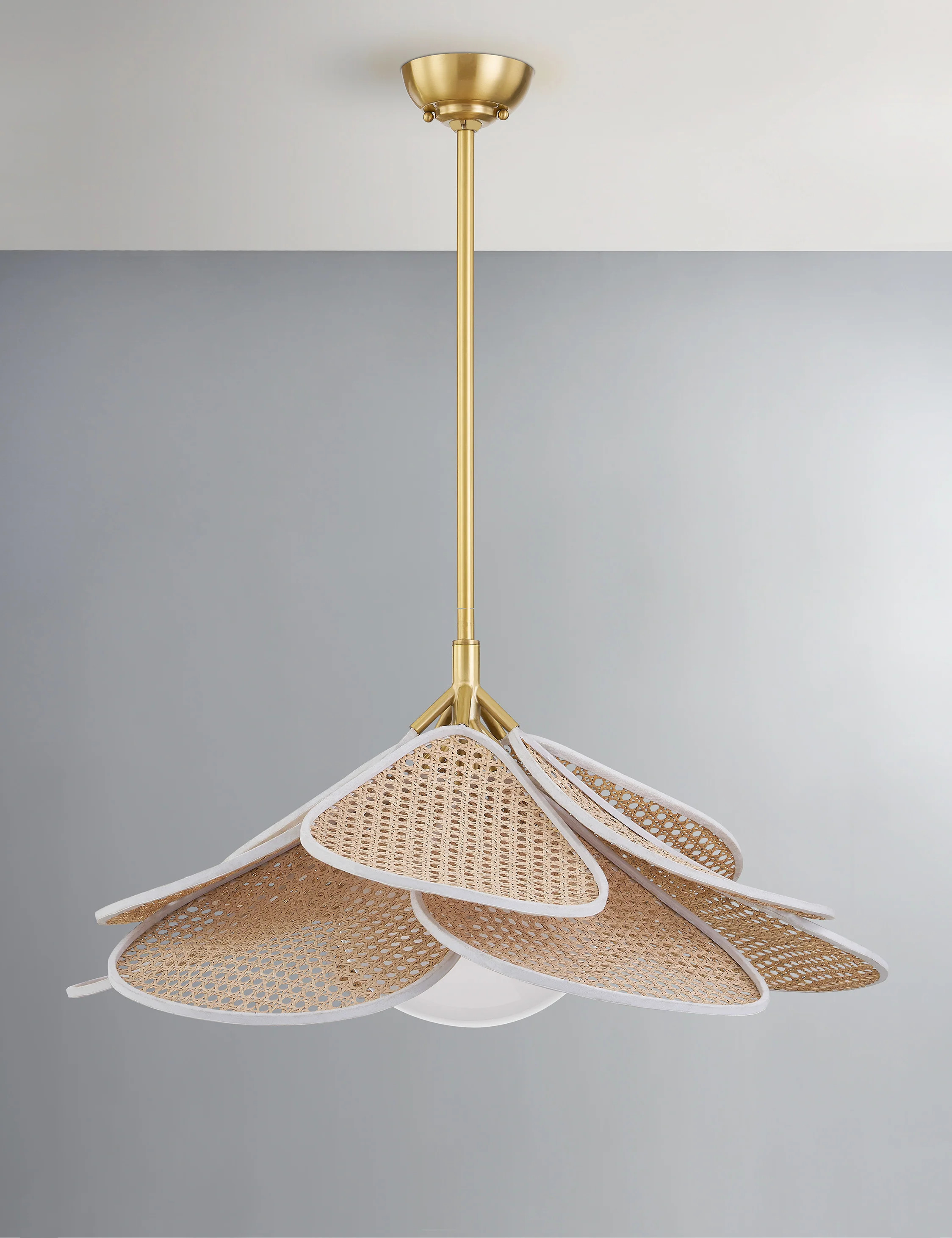 Odilia Pendant Light | Lulu and Georgia 