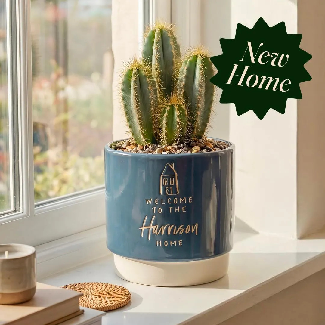 Personalised Indoor Plant Pot, Engraved Housewarming Gift, New Home Plant Pot Gift - Etsy | Etsy (US)