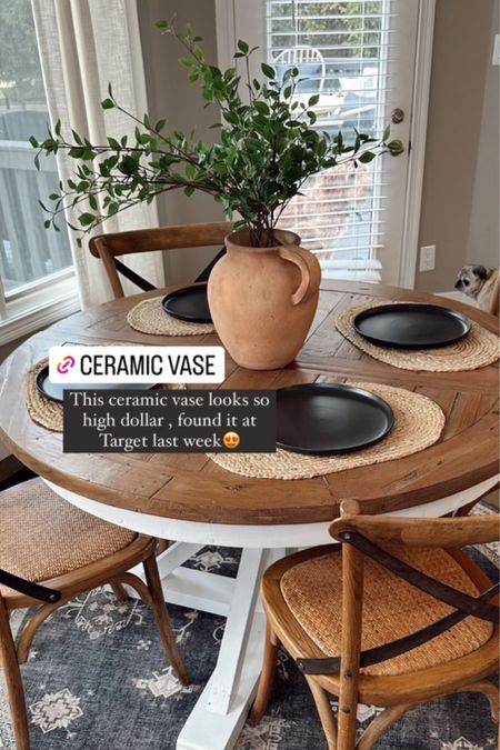 The perfect ceramic vase from target 

Home decor 
Home find 
Kitchen table 
Plants 
Vase 

#LTKHome #LTKStyleTip #LTKFindsUnder50