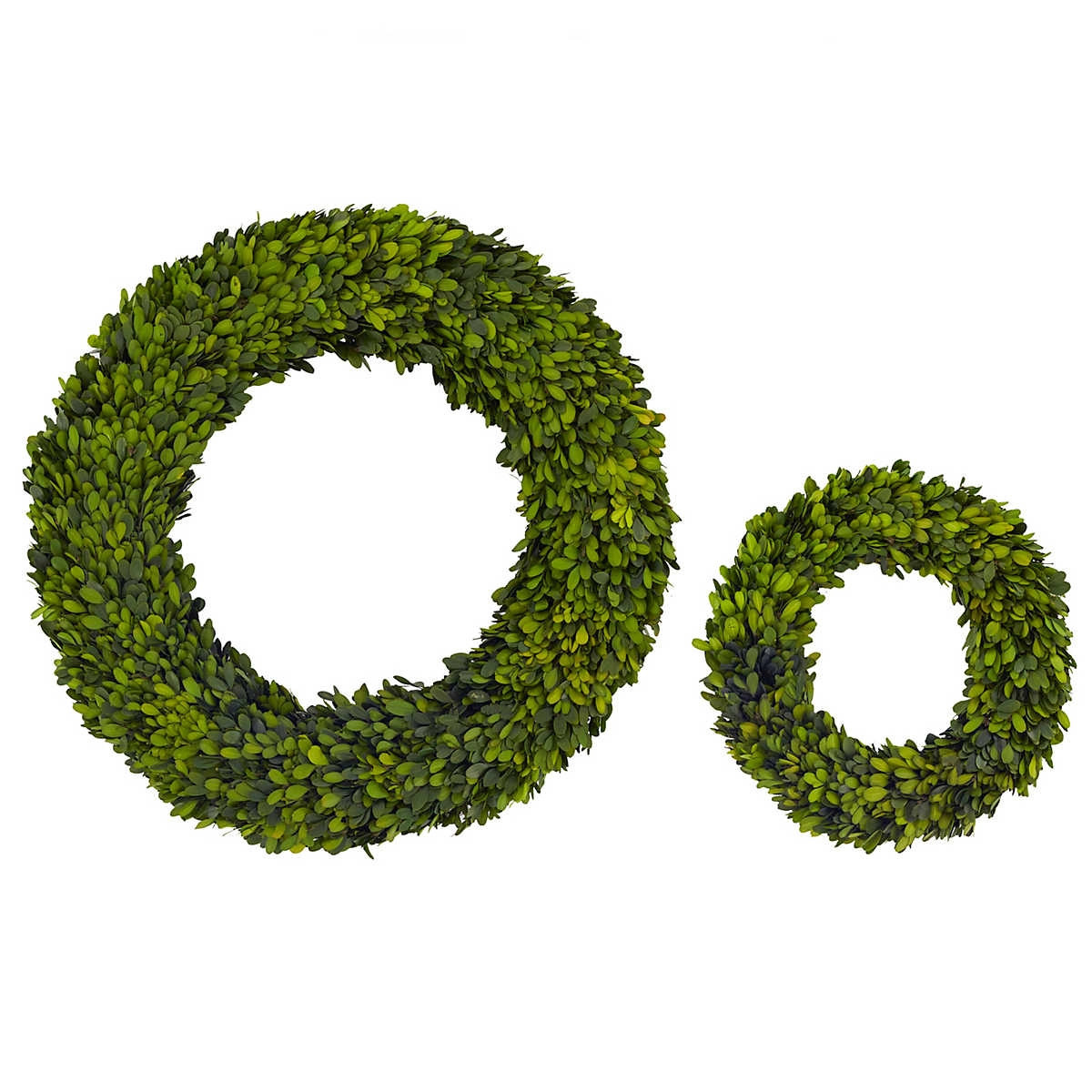 Round Boxwood  Wreath | Annie Selke