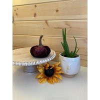 Small Velvet Pumpkins {Wine}; Wedding Centerpiece, Modern Barn Decor, Shabby Chic Mantle Farmhouse G | Etsy (US)