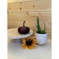 Small Velvet Pumpkins {Wine}; Wedding Centerpiece, Modern Barn Decor, Shabby Chic Mantle Farmhouse G | Etsy (US)
