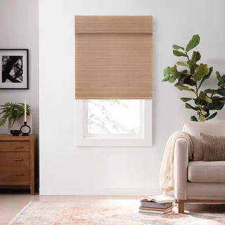 Eclipse Bamboo Cordless Light Filtering Privacy Roman Shade | Bed Bath & Beyond