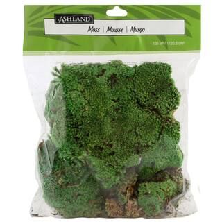 Ashland® Preserved Moss—105 Cu In Natural | Michaels Stores