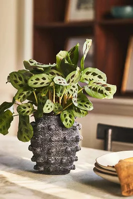 Minka Textured Pot | Anthropologie (US)