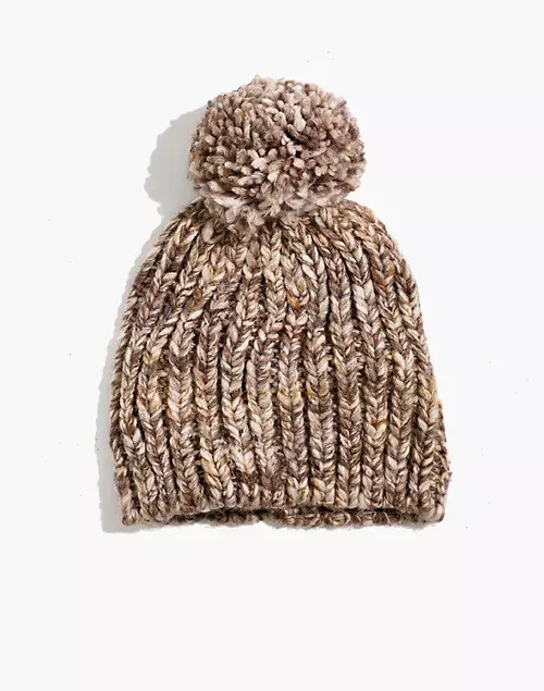 Chunky Pom-Pom Beanie | Madewell