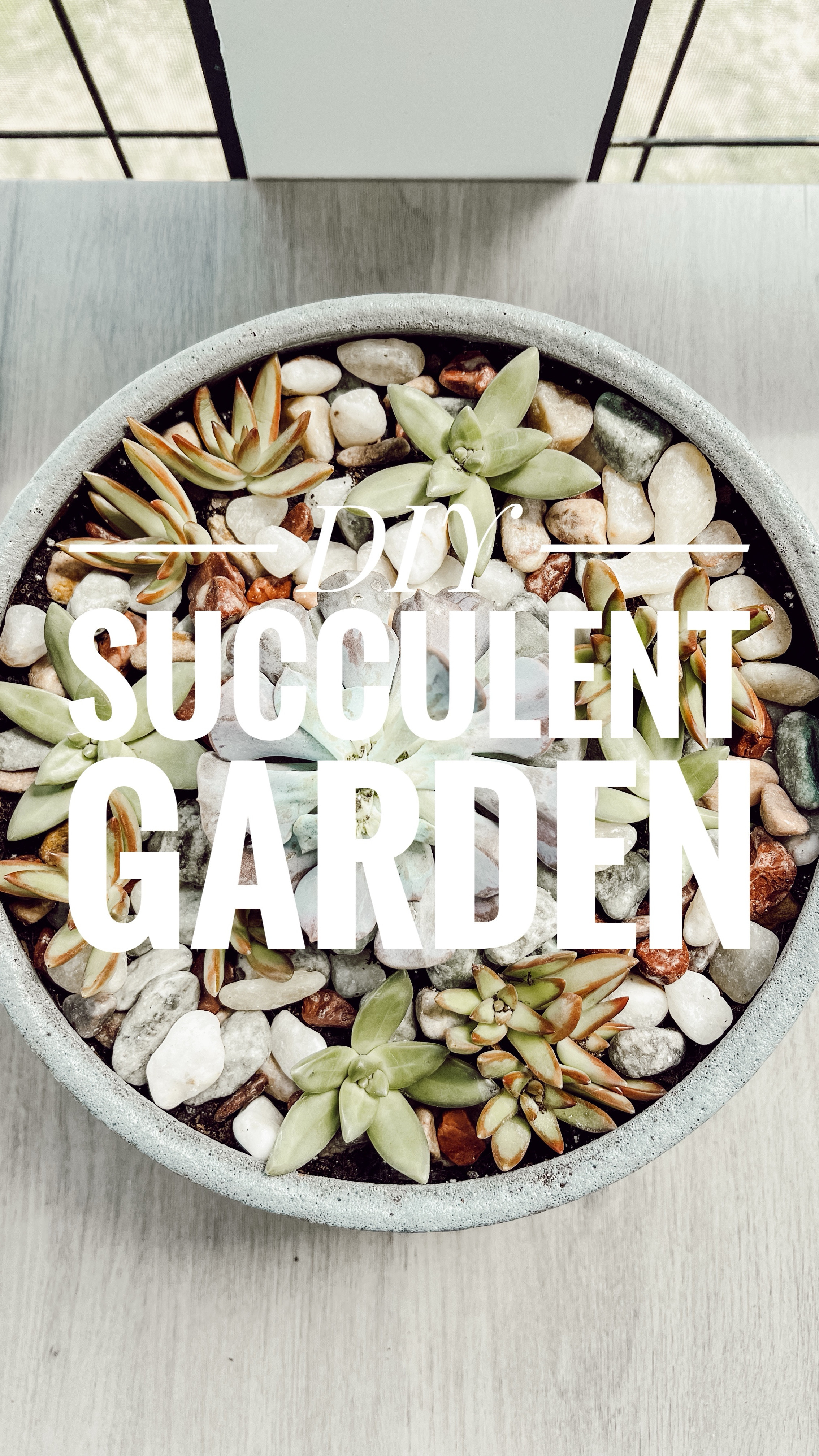 I made the cutest little succulent garden for our screened in porch the other day and I just love how it turned out. Plus, it was so simple and easy to make! I shared the full tutorial about how I made it all over on my blog today so be sure to check that out here too: https://morningsonmacedonia.com/diy-succulent-garden/ 🪴 Have a happy Saturday my friends!!

#LTKFindsUnder50 #LTKSeasonal #LTKHome