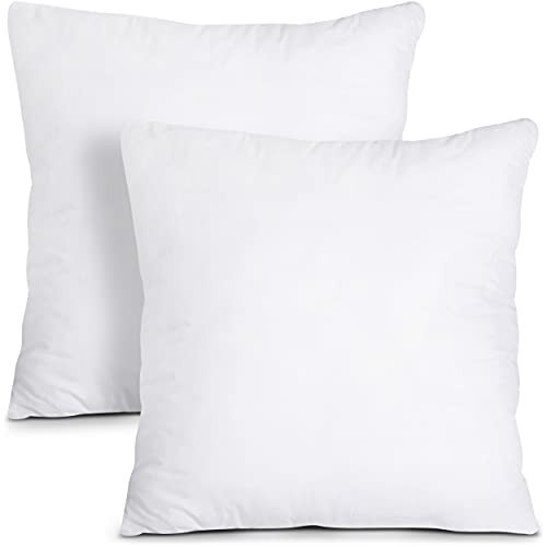 Utopia Bedding Throw Pillows Insert (Pack of 2, White) - 24 x 24 Inches Bed and Couch Pillows - Indoor Decorative Pillow | Amazon (US)