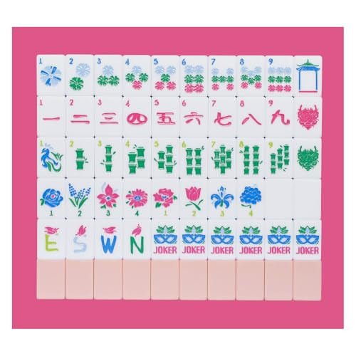 Jongyance American Mahjong Tile Set, 160 Acrylic Engraved Mahjong Tiles with Carrying Bag and Accessories | Amazon (US)