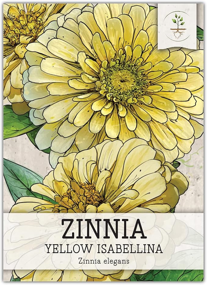 Seed Needs, Yellow Isabellina Zinnia Seeds - 250 Heirloom Seeds for Planting Zinnia elegans - Ann... | Amazon (US)