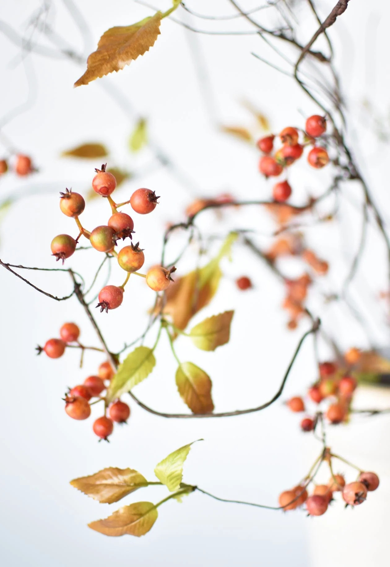 38" Faux Orange Berry Branch Stem | HouseFloral
