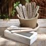 Wooden Herb Plant Stakes in Wooden Box, Set of 9 | Williams-Sonoma