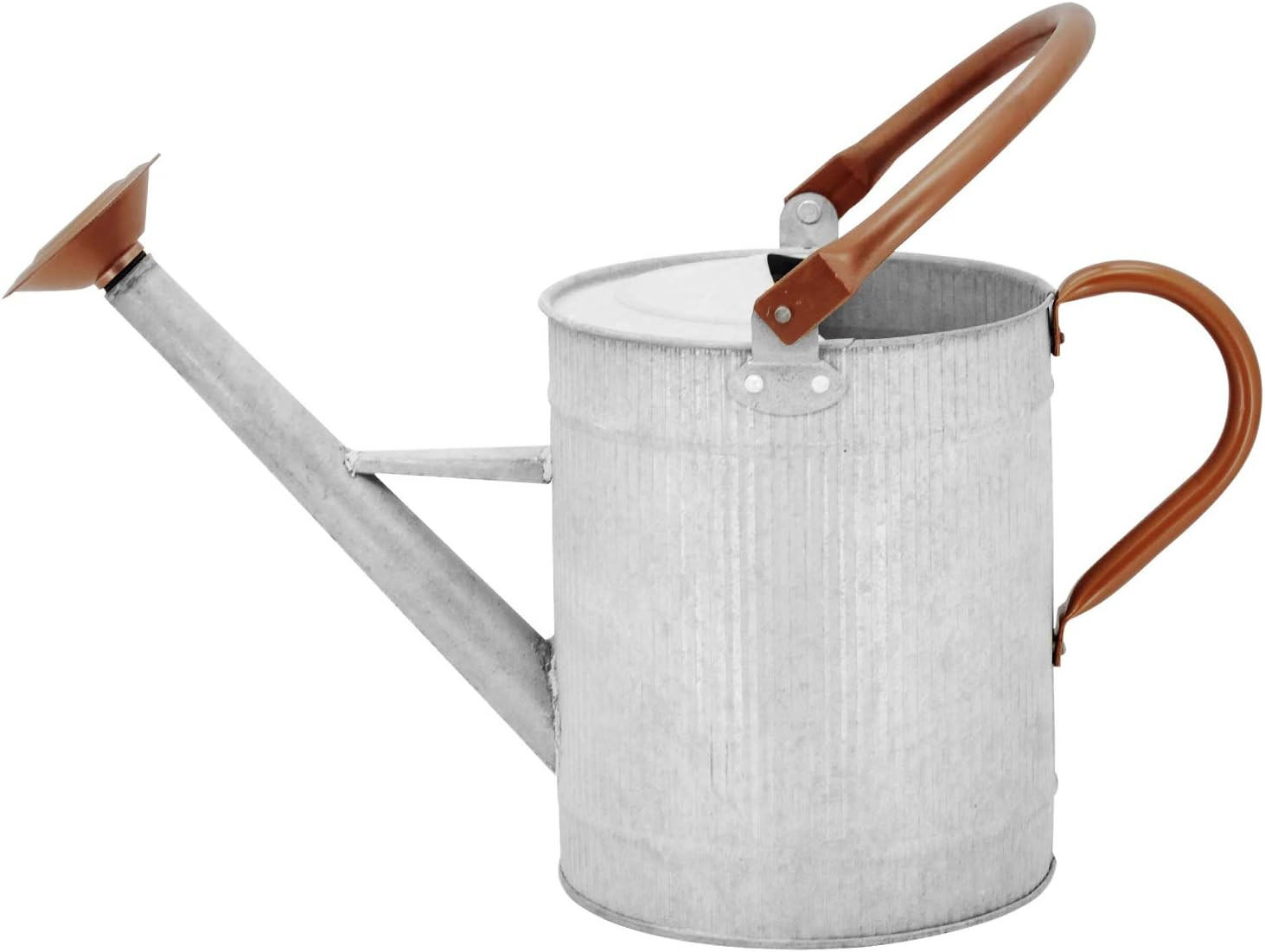 1 Gallon Watering Can, Farmhouse Watering Can, Metal Watering Can with Removable Spout, Galvanize... | Amazon (US)