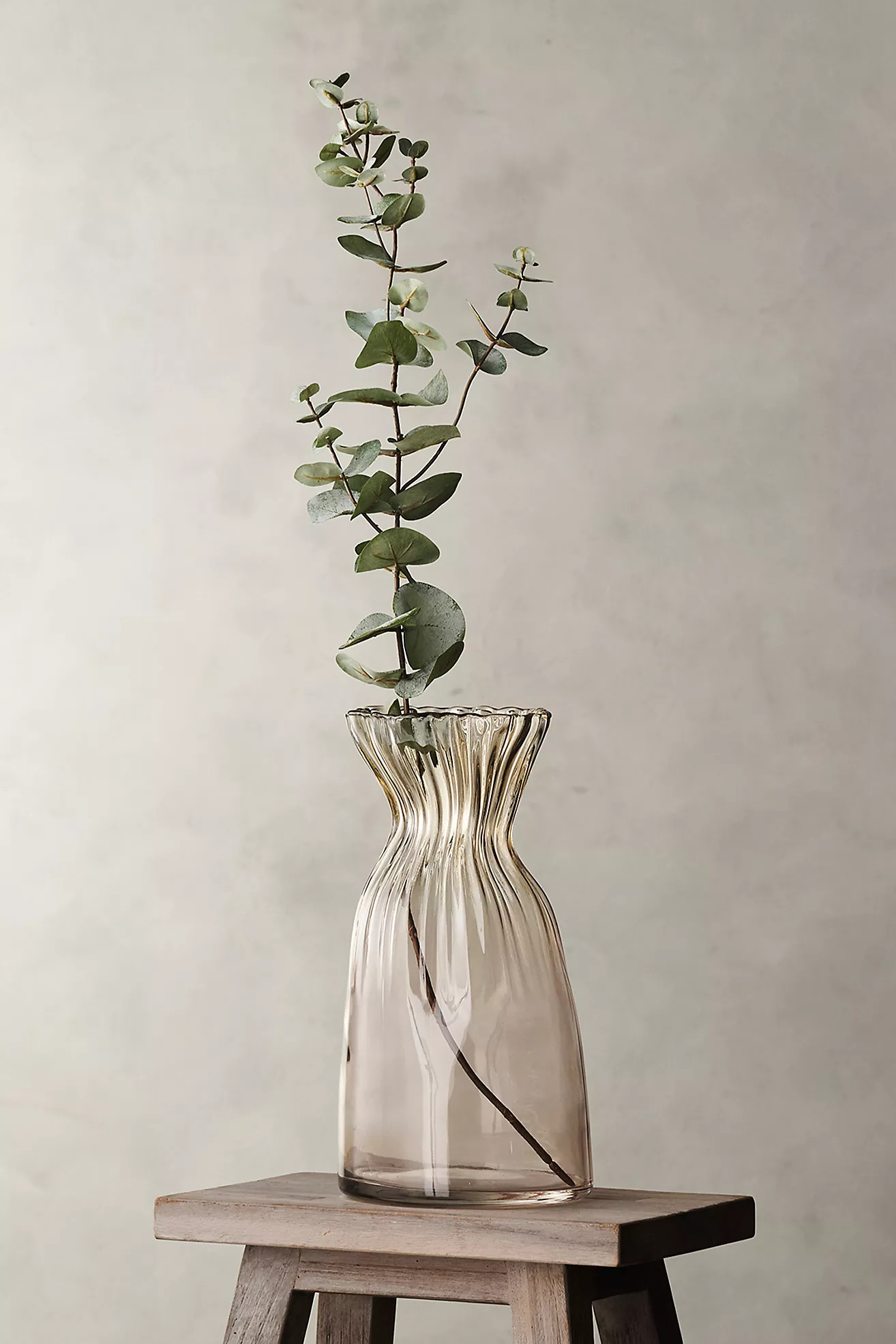Faux Eucalyptus Spray | Anthropologie (US)