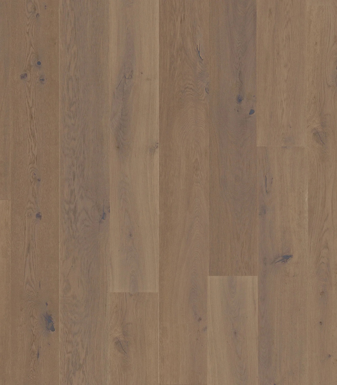 Nova White Oak 7/8 in. T x 7.5 in. W Tongue and Groove Wire Brushed Engineered Hardwood Flooring (20.05 sq. ft./Case) | Wayfair North America