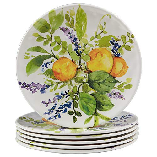 Certified International Lemon Zest Melamine 9" Salad/Dessert Plates, Multicolor, Medium, Set of 6 | Amazon (US)