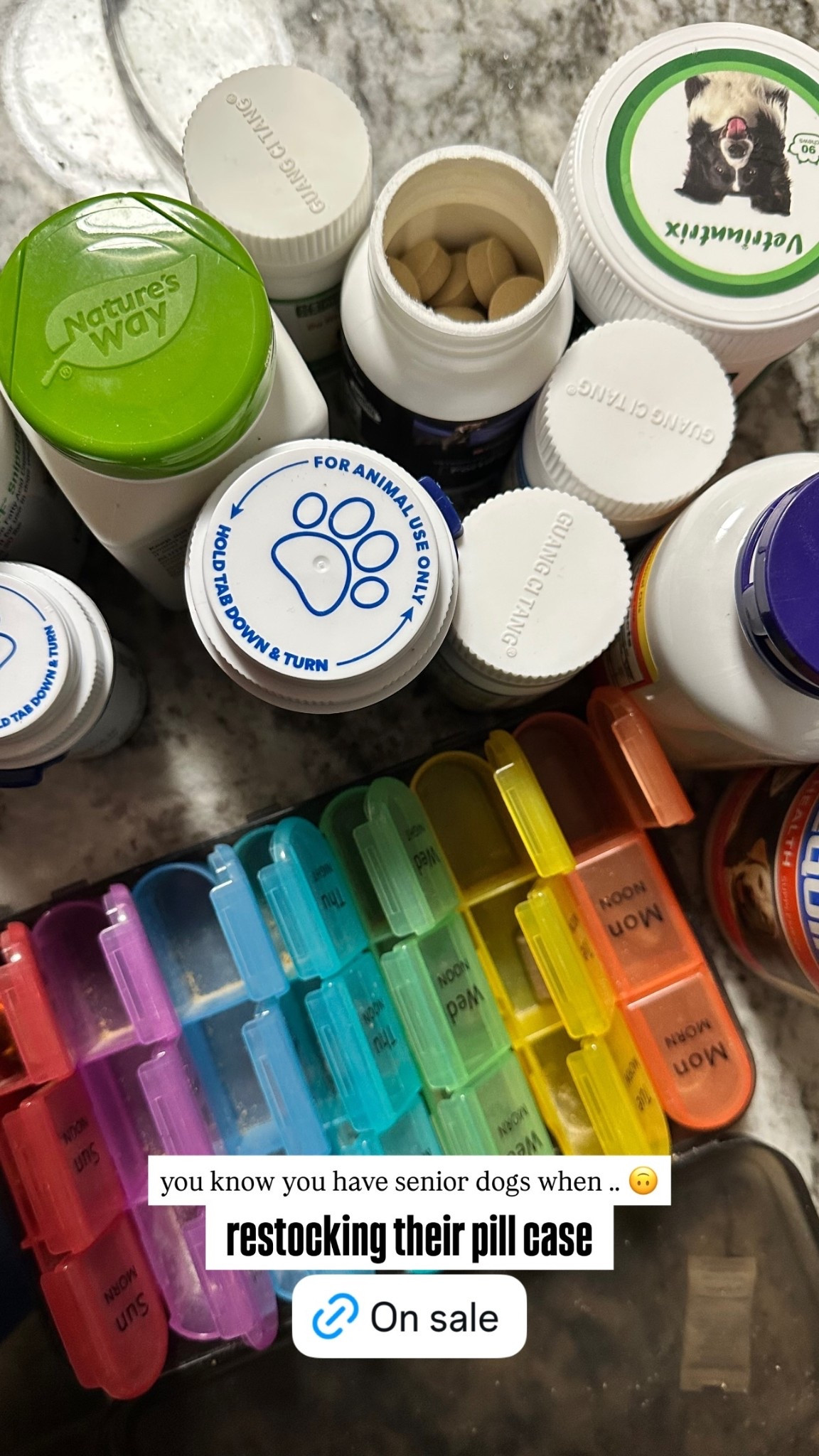 restocking their pill case you know you have senior dogs when .. 🙃