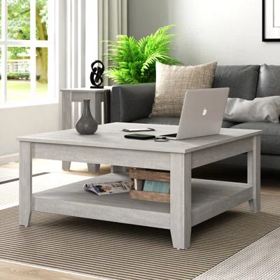 Weddel Basilico Coffee Table with Storage | Wayfair North America