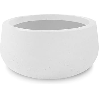 Kante 16" Dia. Round Pure White Finish Concrete Bowl Planter, Outdoor Indoor Large Planter Pot wi... | Amazon (US)