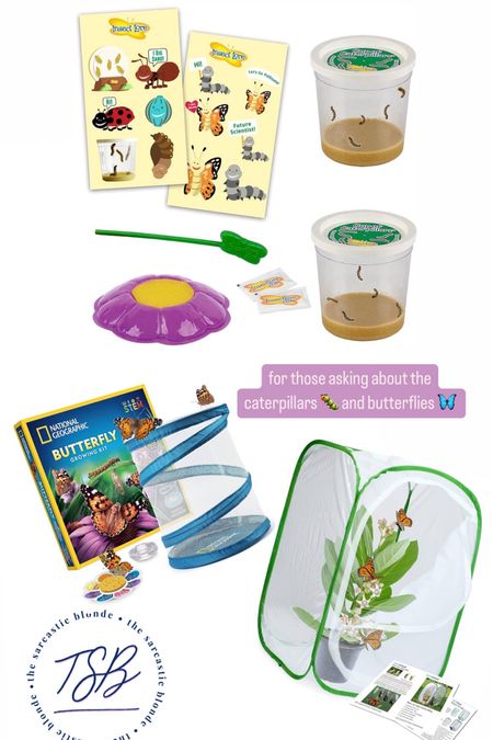 the caterpillars to butterflies has been the highlight of the year for the girls - 
the caterpillars were shipped to us from the girls great grandma from Insect Lore directly but you can order through Amazon, too. Then I ordered the net/cage thing ! 

#LTKfindsunder50 #LTKfamily #LTKkids