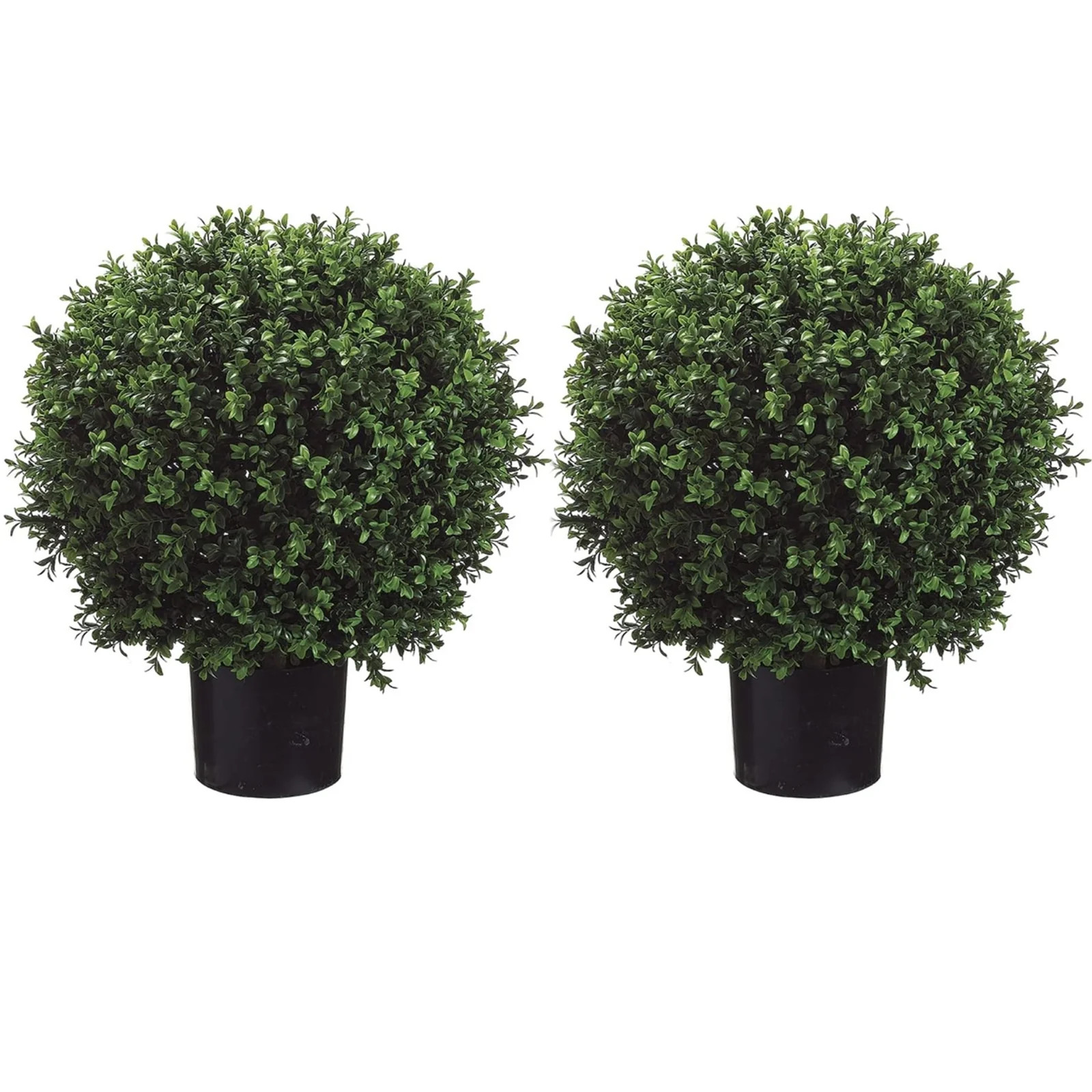 Set of 2 - Pre-Potted 24" High Ball Shaped Boxwood Topiary-MEKBOK- 16" Diameter - Plastic Pot | Walmart (US)