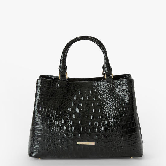 Angelina | Brahmin