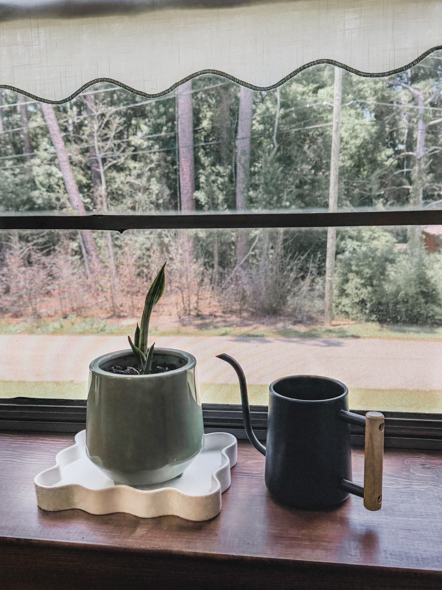 My office windowsill. I can’t wait to watch this plant grow. 

#LTKStyleTip #LTKFindsUnder50 #LTKHome