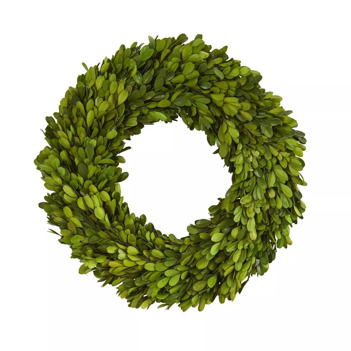 Nearly Natural 14” Preserved Boxwood Wreath | Target
