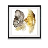 Renditions Gallery Calendula I Abstract Artwork Contemporary Art Framed Giclee Canvas Prints Home Wa | Amazon (US)