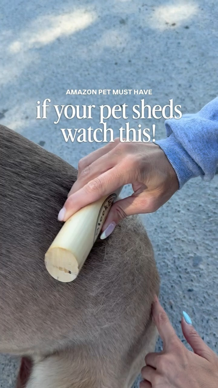 The BEST dog brush for shedding!  

Amazon finds, Amazon dog brush

#LTKSeasonal #LTKmomlife #LTKHome
