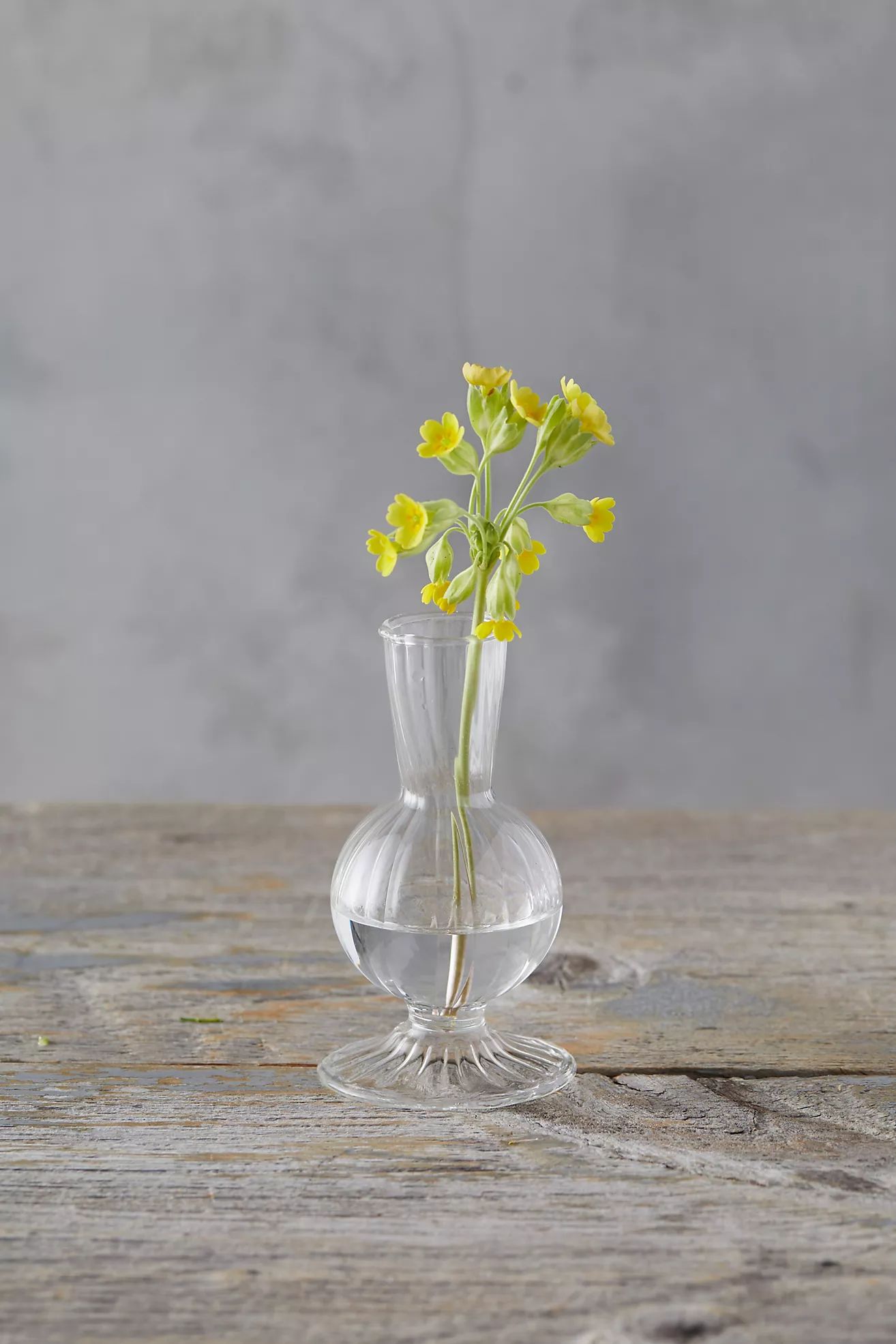 Scalloped Glass Vase | Anthropologie (US)