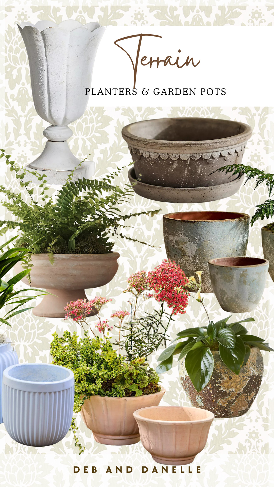 @Terrain has a great assortment of garden pots and planters in a variety of different neutral colors and textures. We just added a few more to our Summer home decor.  

 #LTKSeasonal #LTKHome
