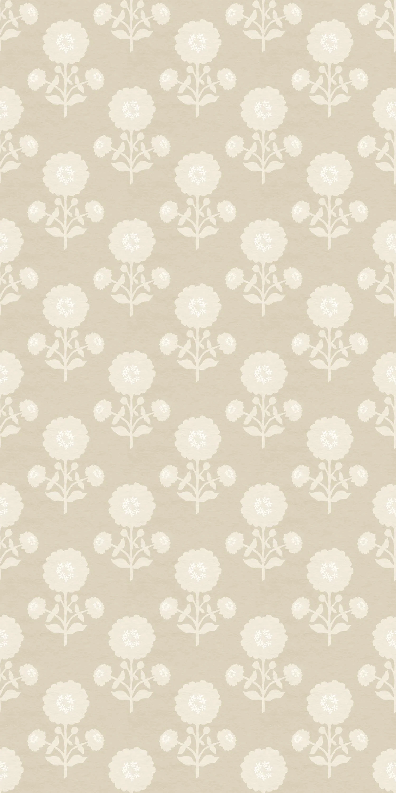 Zinnia | Chasing Paper