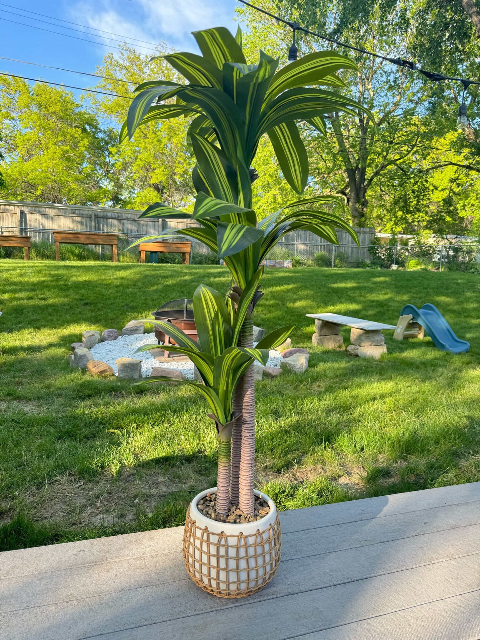 New plant and pot! Perfect for the deck and inexpensive! 


Patio decor
Patio plant
Patio deck 
Outdoor finds 
Outdoor living 
Deck finds
Walmart patio
Walmart outdoor living
At home store 

#LTKFindsUnder50 #LTKSeasonal #LTKHome