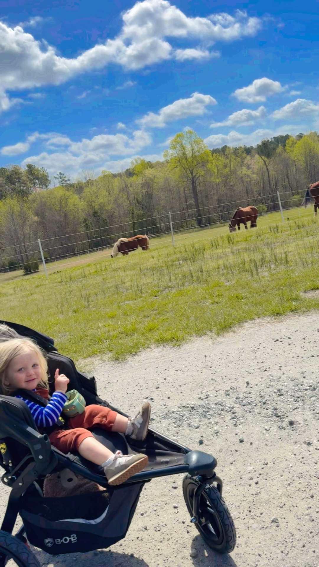 just the most gorgeous early spring day for our walk 🌾🐴🪻🌳 - what a dream 💭 come true this place is!! 🤍