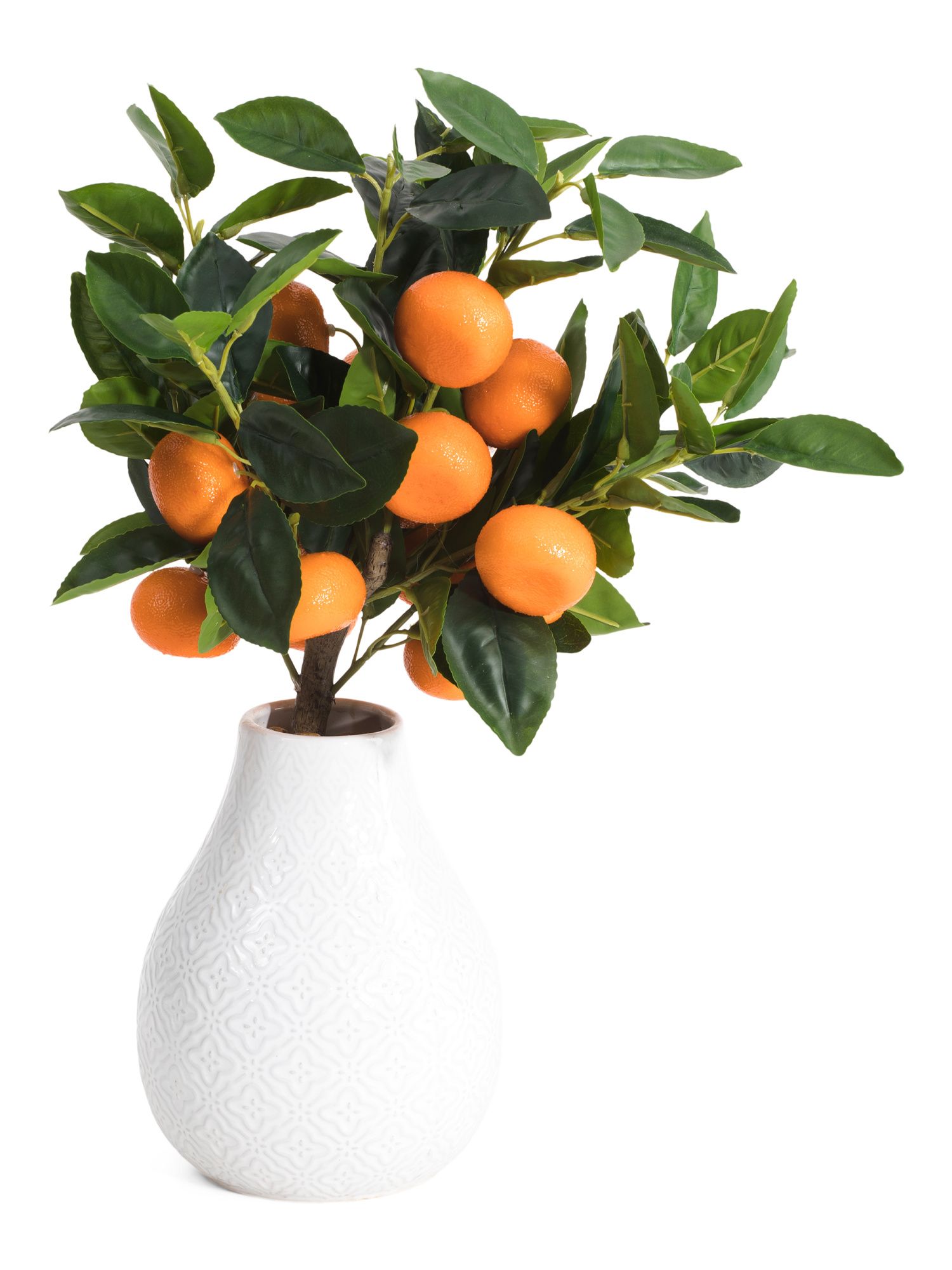 Mandarin Plant In Ceramic Vase | TJ Maxx