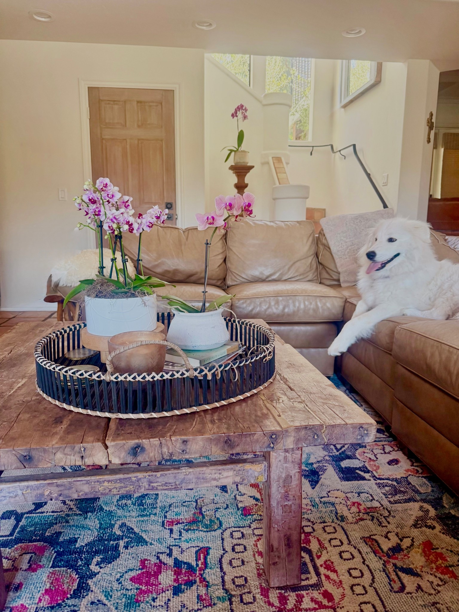 Living Room Home Decor Inspo! 🌸

I added in vintage home decoration pieces with new for a modern rustic design look.
I mixed this brown leather couch, vintage style throw rug, artificial orchids, candles, and rustic wood coffee table for a cozy style. 🌟
#artificalplants #coasters #leathersofa #throwrugs #marneystidbits


#LTKHome #LTKvlog #LTKSaleAlert