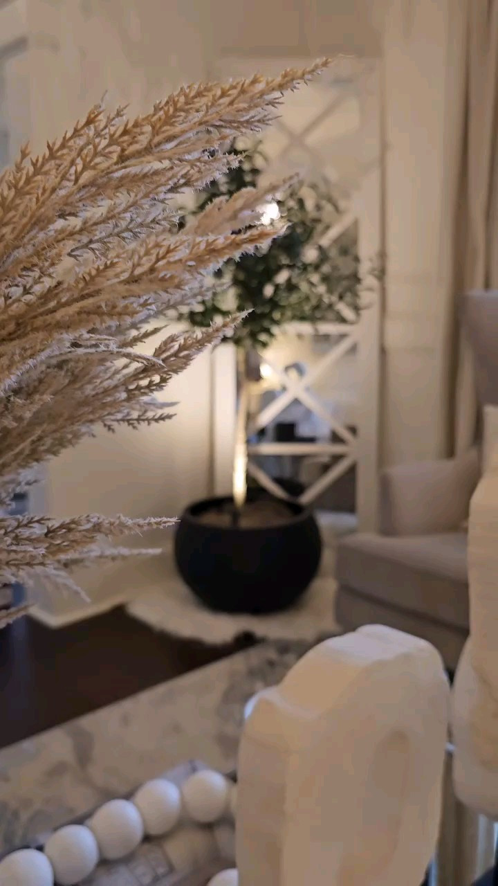 Take your plants to the next level by adding these spot lights. Really elevates the look day or night. 

#LTKVideo #LTKhome