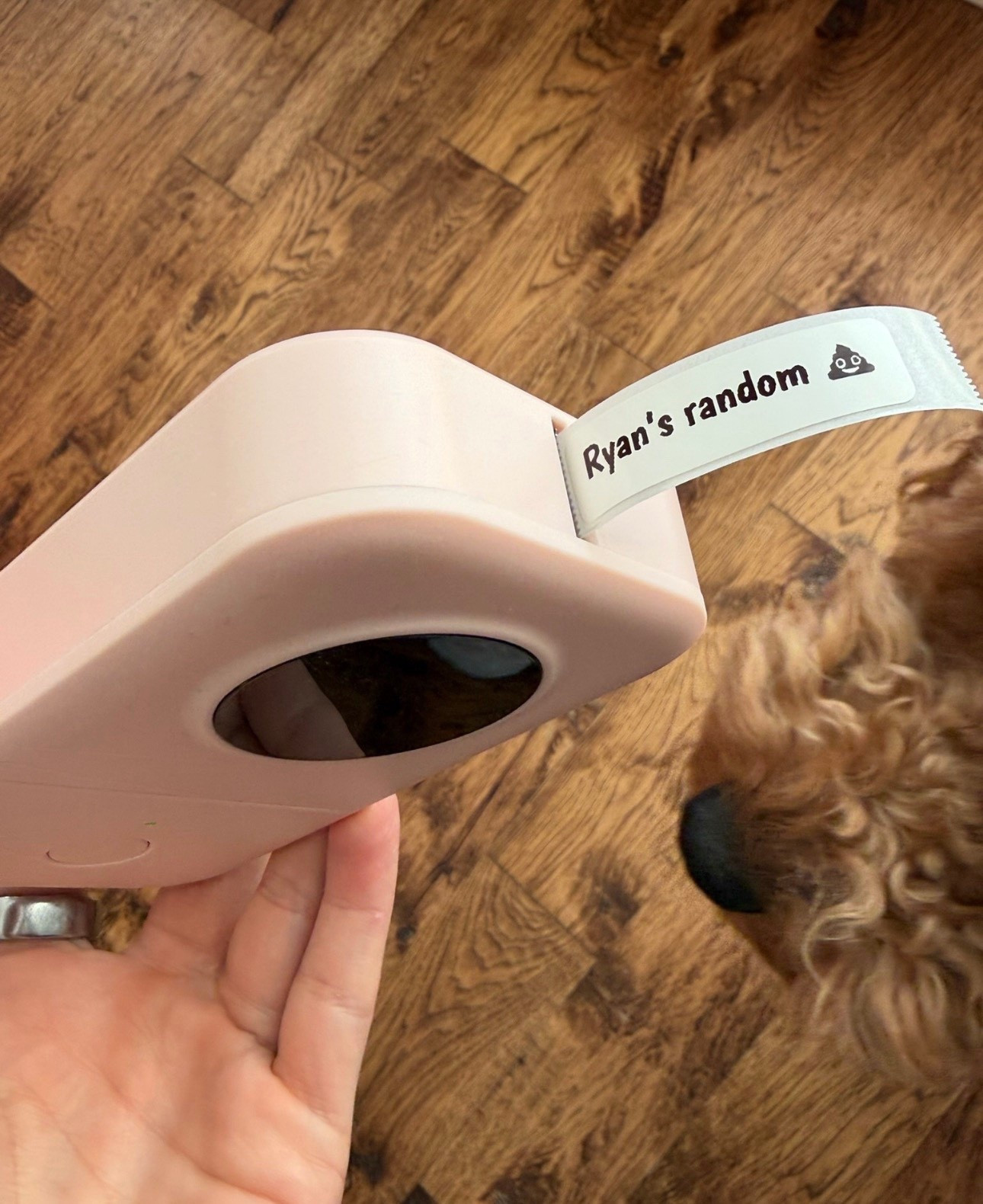 Little things that make everyday life easier✨ This handheld label maker has been so fun and surprisingly useful!



#LTKHome #LTKmomlife #LTKKids