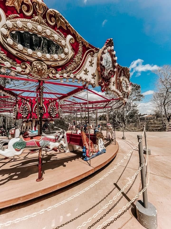 Gulf Shores, Alabama 🤎