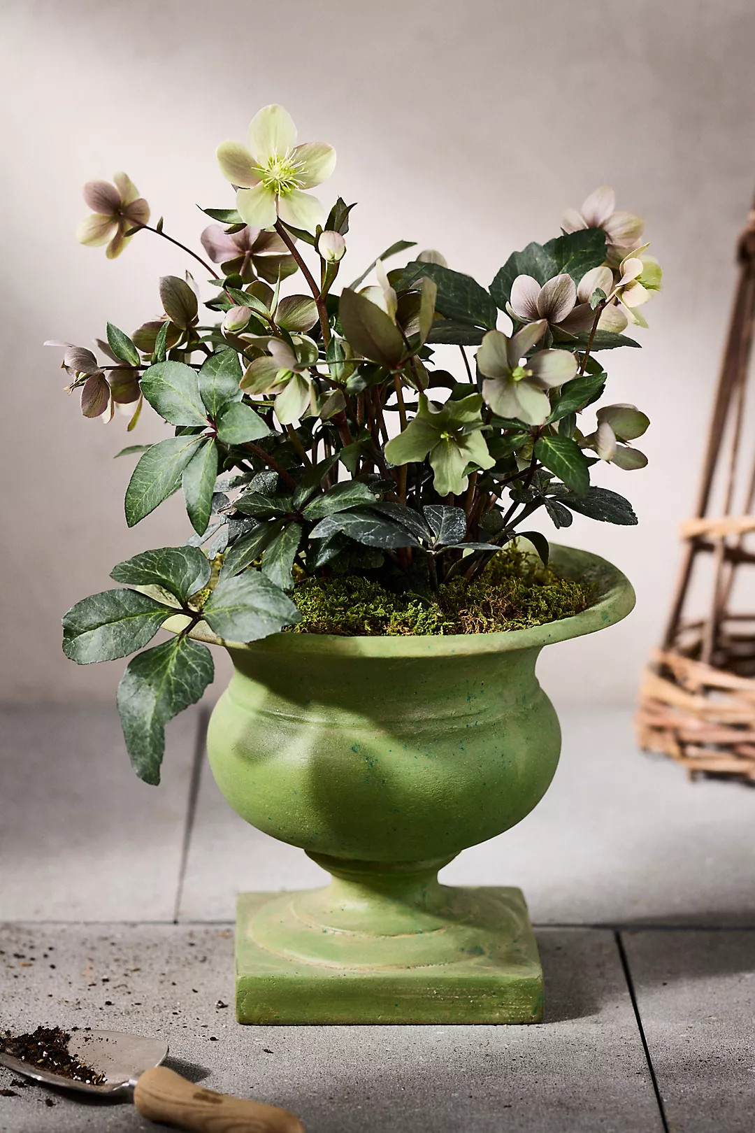 Green Cast Stone Urn | Anthropologie (US)