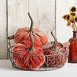 6.25 Inch Large Velvet Pumpkins and Basket Set, Table Centerpiece, Chicken Wire Basket, Rustic Wire  | Amazon (US)