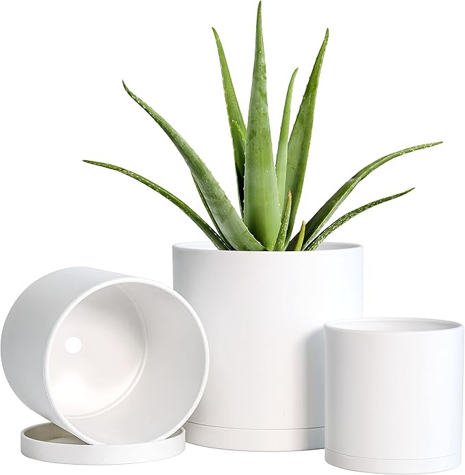 4 Inch 5 Inch 6 Inch, Set of 3 Plastic Planter Pots for Plants with Drainage Hole and Seamless Sa... | Amazon (US)