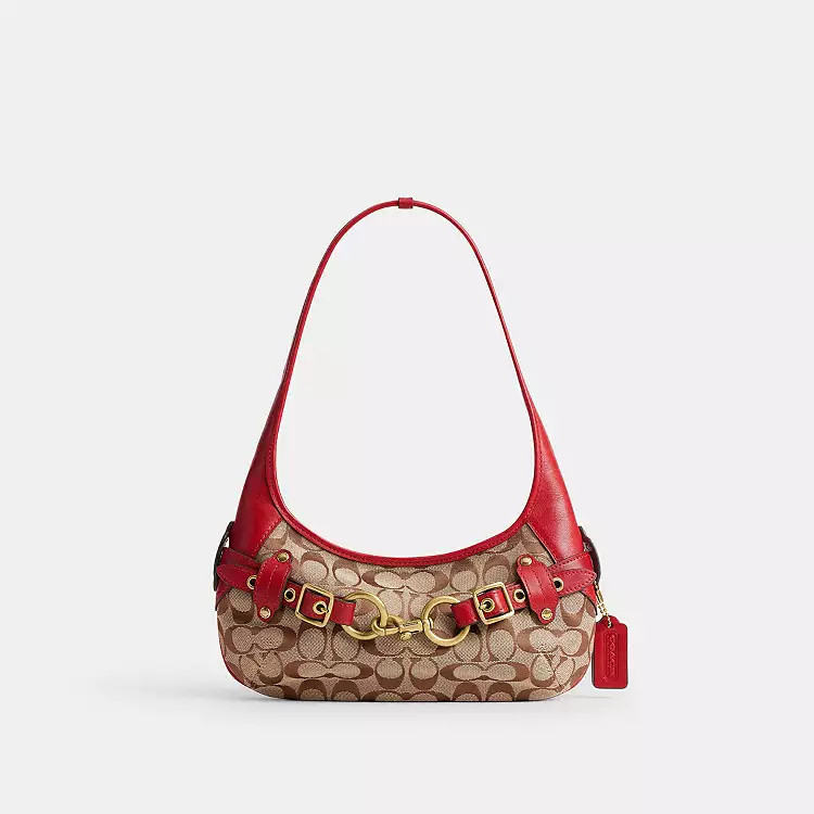 $295 | Coach (US)