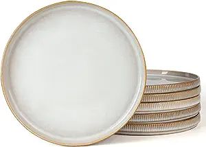 famiware Dinner Plates for 6, 10 inches Plate Set, Scratch Resistant, Stoneware Dinnerware, Kitch... | Amazon (US)