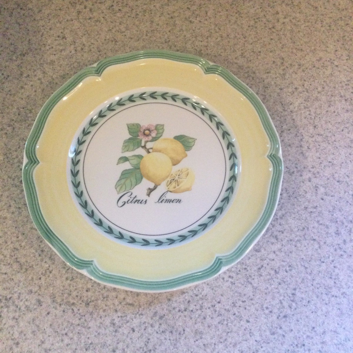 Villeroy Boch French Garden Valance Limon Lemon Salad Luncheon Plate(s) 12 | eBay | eBay US