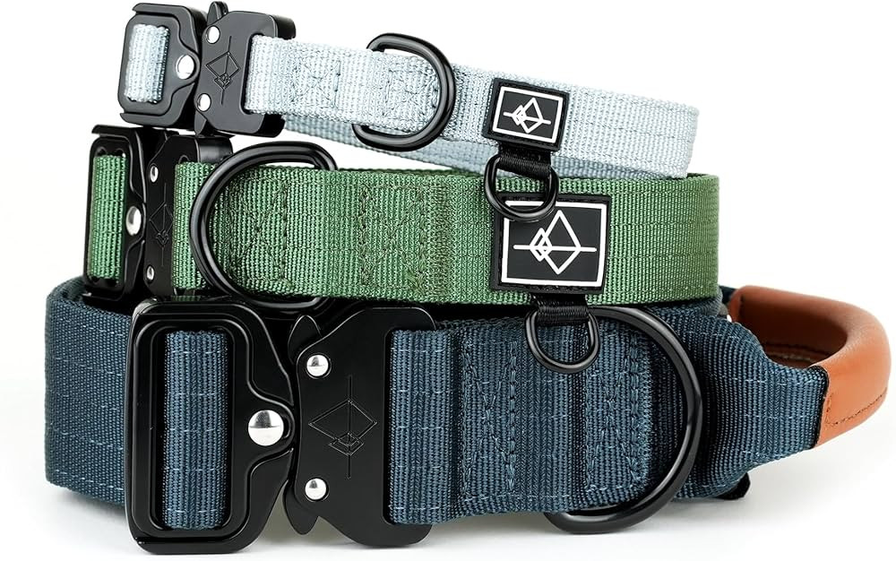 Made to ROAM Premium Dog Collar - Adjustable Heavy Duty Nylon Collar with Quick-Release Metal Buc... | Amazon (US)