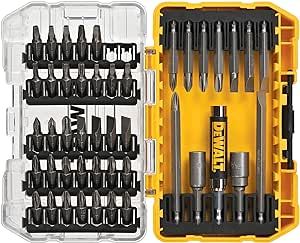 DEWALT Screwdriver Bit Set with Tough Case, 45-Piece (DW2166), Grey/Silver Screwdriving Set with ... | Amazon (US)