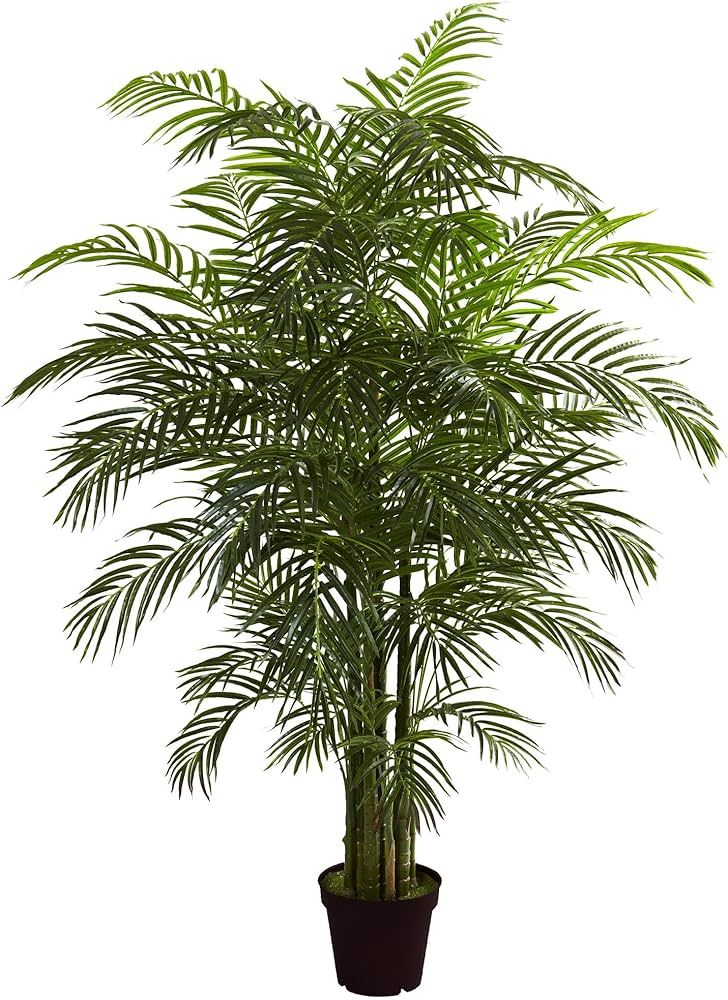 Nearly Natural 6.5ft. Areca Palm UV Resistant (Indoor/Outdoor) | Amazon (US)